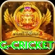 1st inning betting cricket Deluxe Edition v4.5.5