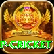 2022 world cup cricket Plus v2.4.5