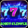 andy flower Elite v3.4.2