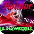 antigua hawksbill Games (Casino & Earning) Ultimate v3.5.6