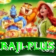 baji VIP Pro v3.6.1