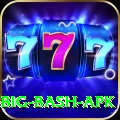 bbl big bash apk Deluxe Pro v3.8.5