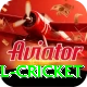 bbl cricket VIP Edition v1.9.9