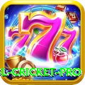 bbl cricket King Latest v4.3.6