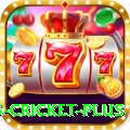 bet365 cricket - Slots Prime