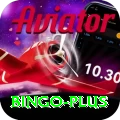 bingo VIP v4.2.7