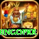 bingopkr Apps (Tools & Injectors) Premium v3.2.1