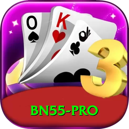 bn55 Pro Edition v3.3.4 - 2