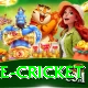 bpl live cricket Plus Edition v4.1.3