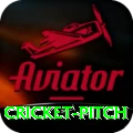 cricket pitch Gold v5.4.9