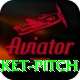 cricket pitch Gold v5.4.9