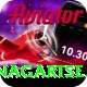 dingboche nagartse Pro Edition v2.1.3