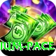 faisalabad medium pace Elite v2.3.0