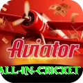 fastest ball in cricket Apps (Tools & Injectors) Premium v3.0.6