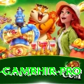 gautam gambhir Turbo - Win Real PKR