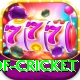 god of cricket Plus Edition v1.9.8