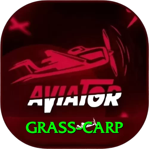grass carp Gold Pro v5.0.7 - 2