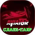 grass carp Gold Pro v5.0.7