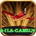 hile ilam tea garden Games (Casino & Earning) Pro v5.5.5