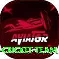 hong kong cricket team Plus Edition v4.1.4