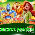 india cricket match Master Pro v5.3.3