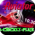 india england cricket Game Deluxe v4.6.9