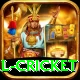 international cricket VIP v2.2.0