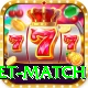 international cricket match Gold Pro v5.3.1