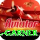 joel garner Ultimate Pro v3.2.7