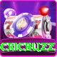 live cricket streaming cricbuzz Pro Max v1.9.5