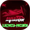 lungi ngidi Plus Pro v1.5.6