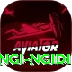lungi ngidi Plus Pro v1.5.6