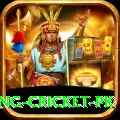 make money betting cricket pk Turbo v4.0.7