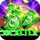 mohsin khan cricketer Pro v1.2.0