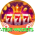 most test wickets Deluxe Edition v1.2.4