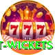 most test wickets Deluxe Edition v1.2.4