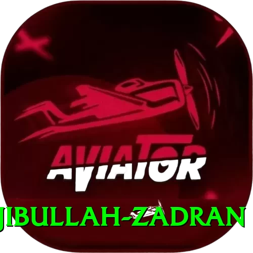 najibullah zadran Turbo v3.7.7 - 2