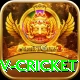 ndtv cricket VIP Edition v4.8.6