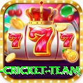 new zealand cricket team Apps (Tools & Injectors) VIP v1.7.2