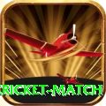next cricket match Deluxe Pro v1.7.8