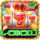 online cricket Games (Casino & Earning) Elite v2.7.4