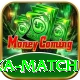 pakistan ka match Max v4.8.7
