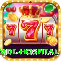 phortse khumde hospital Gold v2.7.3