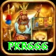 pkr666 VIP