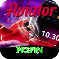 pkspin Max vv4.8.0