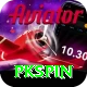 pkspin Max vv4.8.0
