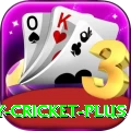 play cricket PK Pro