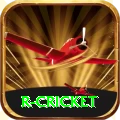 r cricket Gold Edition v1.3.2