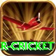 r cricket Gold Edition v1.3.2