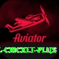 smartcric live cricket Plus Gaming App